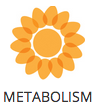 Metabolism Rebuild